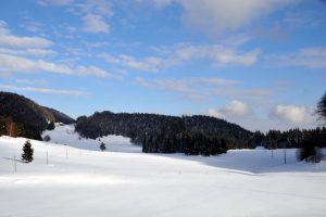 Fotke 13