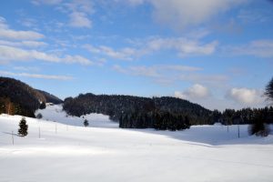 Fotke 13