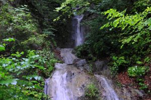 Digitalna Dobrna