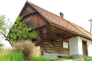 gozdna_pot17