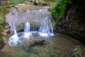 Digitalna Dobrna