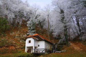 FOTKE 11