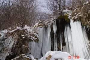 sumecnik02
